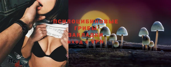 spice Белокуриха